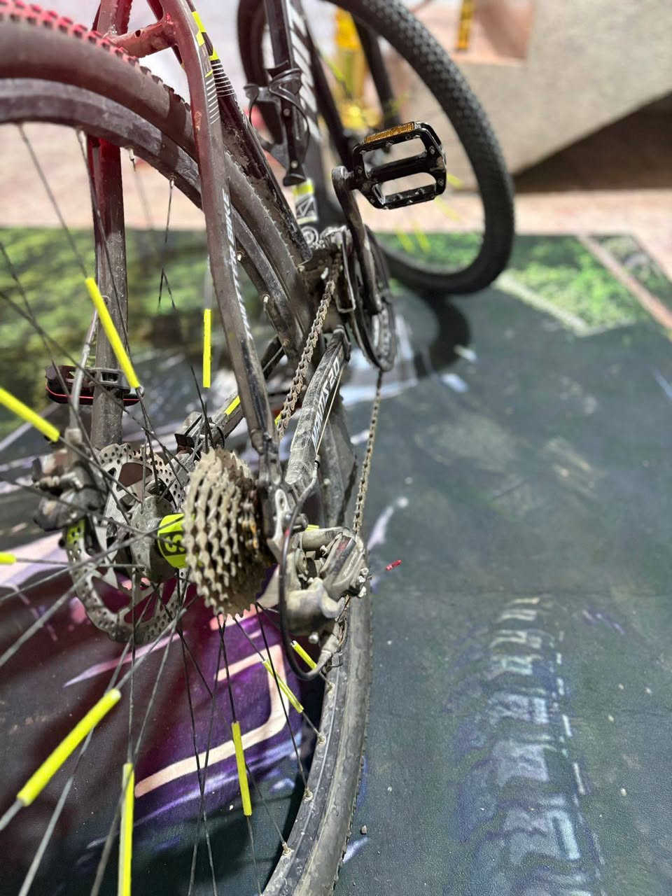 السلام عليكم🌹
للبيع فقط 

بايسكل رود 🚴

ماركة تريك TWITTER

لشه مضلعه

معدن فول المنيوم ماشه كاربون

خفيف جدا وسريع ✈

جاهز اي عطل مابي👍🏻

كله مختم بونتريكر 

حجم 29 /LX

كمبليونه امامي و خلفي 

سستم شيمانو تياكره   

امامي 3 خلفي 8 نمر 

السعر 480

العنوان :🏭
بغداد مدينه الصدر قطاع 9
 
نعتذر عن المراوس🚲

الرقم للتواصل /***********
