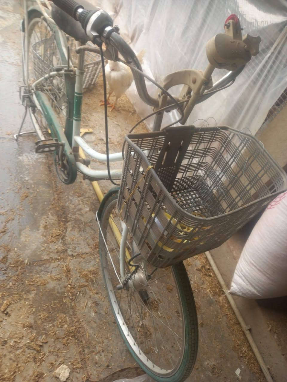 بايسكل البيع حجم 27  لوك اي عيب ما بي السعر ١١٠ كير وحساس رقم التلفون ***********
