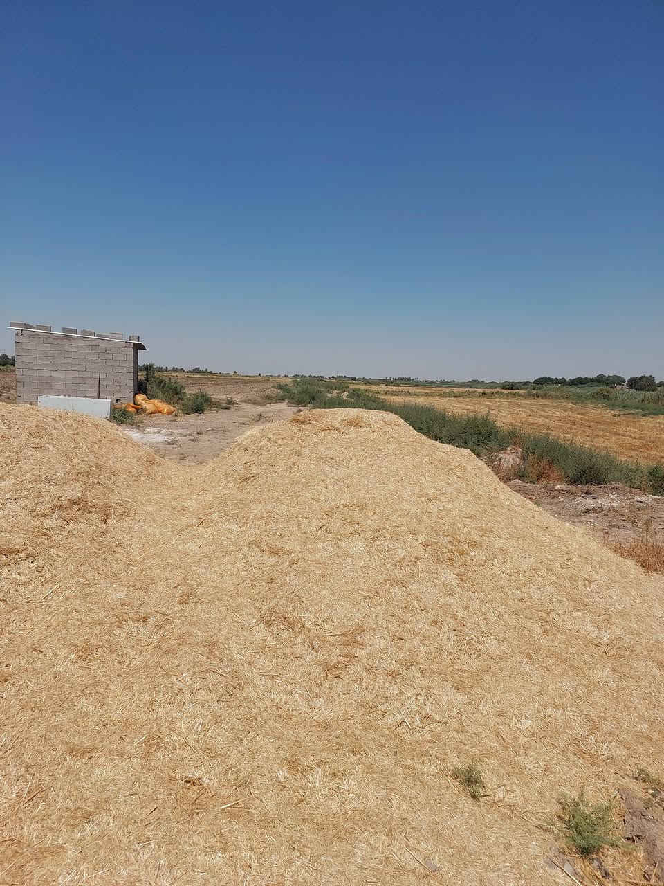 تبن للبيع شديد البياض مطحون بواسطة المعمل البيع على شكل عرباين ، فمن يرغب بالشراء الاتصال على الأرقام التالية 

***********
***********
المكان ( الكوت _ قريب على مقام السيد شاطي )
