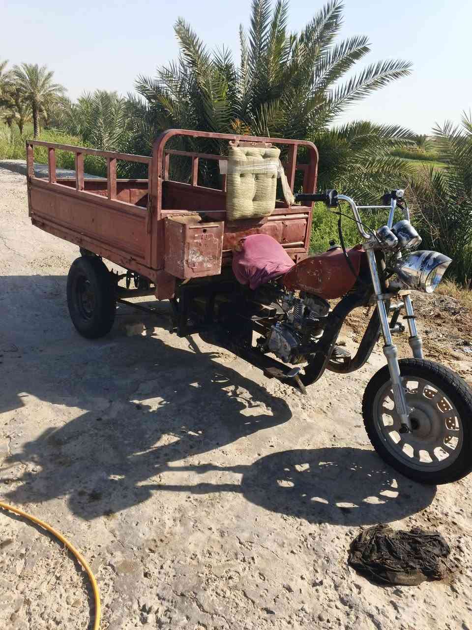 سلام عليكم للبيع ستوته كلك وبيهه رقم صاصي مكان بابل لسكندريه سعر 475 ومجال بسيط  ‏‪***********‬‏
