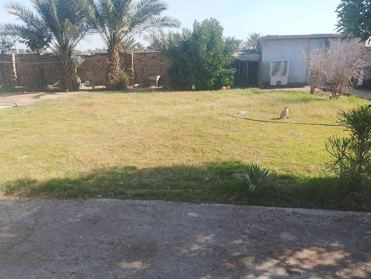 يا الله يتوفر بيت 500م
جنس العقار طابو زراعي سند25 تحويل ملكيه مباشر 
موقع العقار طريق حله نجف خلف جامعه بابل مباشر حي 
التفاصيل البيت 
غرفتين نوم 
مطبخ 
هول 
مجمع صحي داخلي وخارجي 
حديقه كبيره 
قطعه بصف بيت مرتبه 
الخدمات متوفره ماء اساله كهرباء خط مولده 
معرفه تفاصيل اكثر مع الاسعار والعروض 
اتصل ***********
