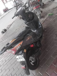 ماكس • ياباني • سلف