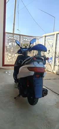 فراشة • ينقر • سومر