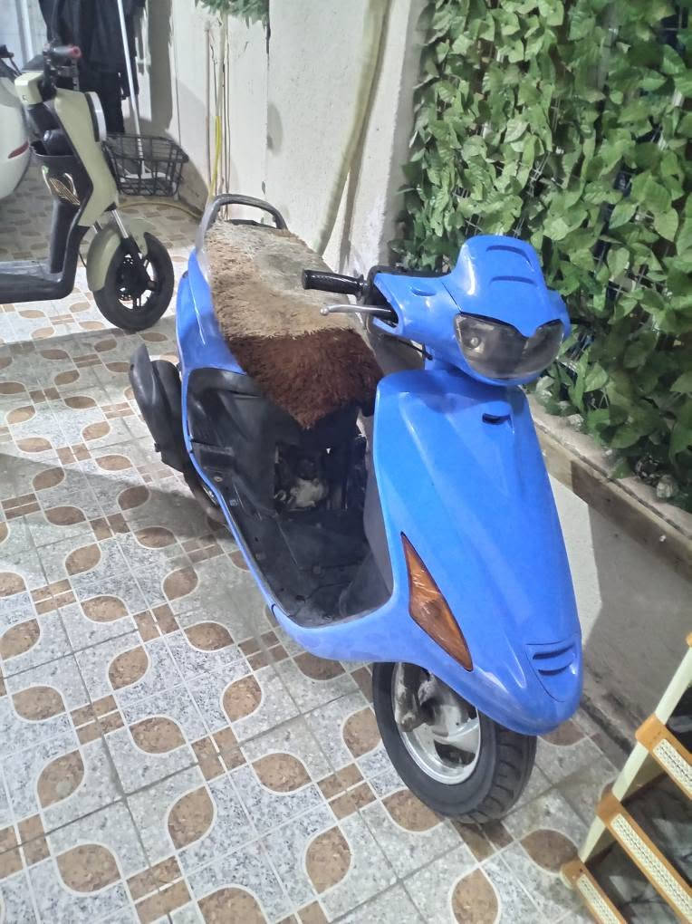 سلام عليكم دراجه فراشه البيع نضيفه سلف هندر تشتغل شياه بصيطه بكلايت كفر يم دهن مثل ما واضح بل صور شراي سهله ٣٢٥ البصرة, العراق


**إذا كنت صاحب هذا الإعلان وتريد حذفه لأي سبب، رجاءا أرسل رسالة إلى الدعم الفني**