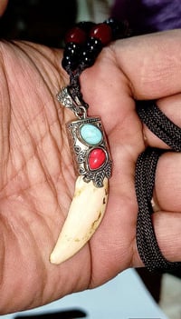 مگلد ناب الذيب الاصلي ذمة ذمة اصلي شرط الفحص الناب مروحن ومنجم وجاهز ل...