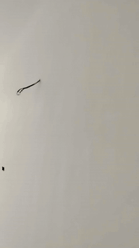 مبيضجي متفرغ07708879123