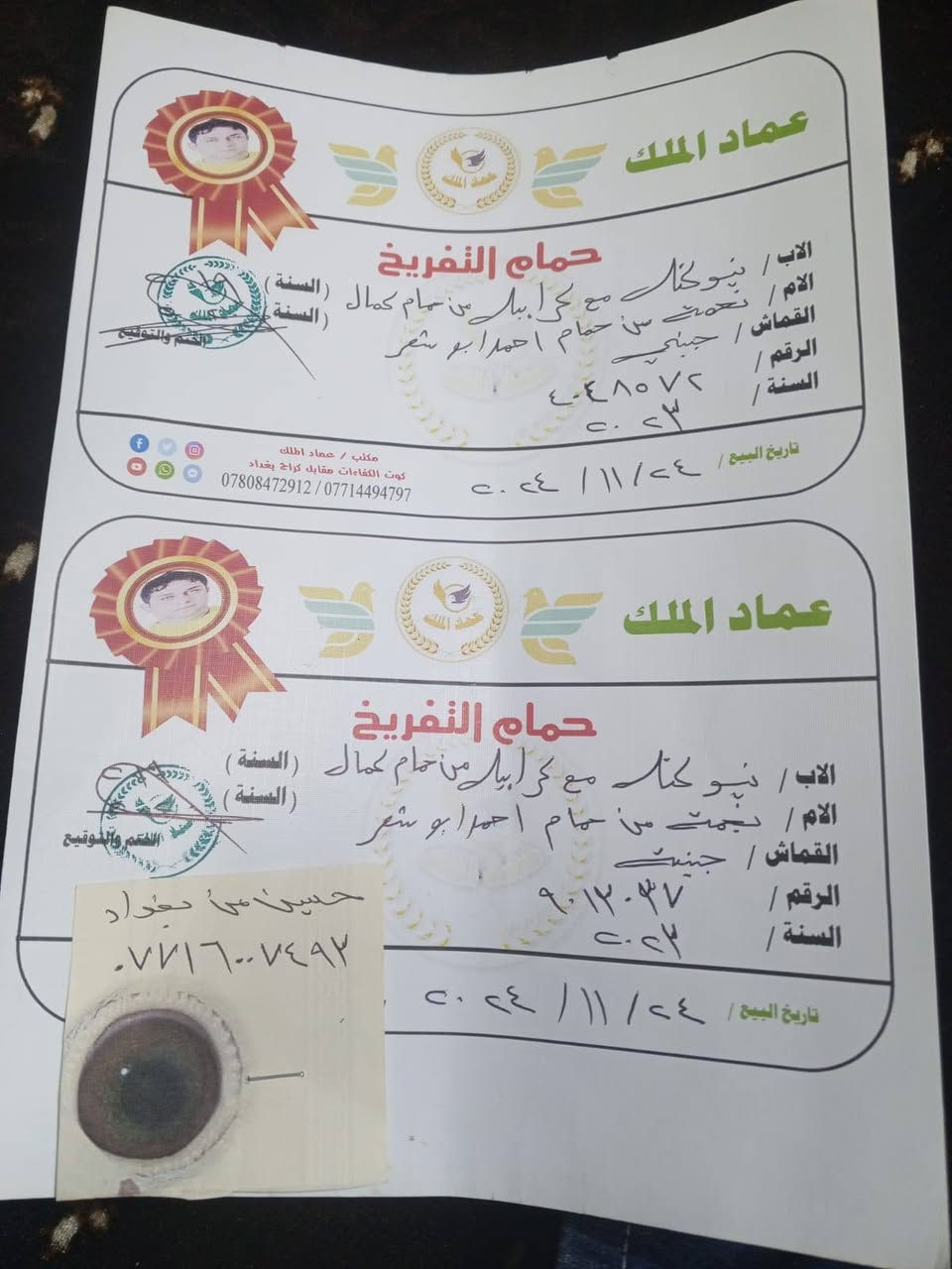 السلام عليكم اخوان مكلف بل نشر متاح

تك طيره موديل 2023 بشهادتهه وشهايد امهاتهه 

تبزير اخونه عماد الملك الملك 
ابوهه تبزير كمال خياب ابوهه مديل 2019 نيو كتل مع كرايبر 

وامهه تبزير الجناي احمد ابو شعر امهه موديل 2020 امهه نجمه من حمام نجمه 

مكاني بغداد حي ؤر ام الكبر والغزلان وهذا رقمي ***********
