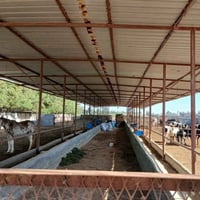 العامرية الصحراوي • ٢ فدان • ترخيص ٣٠٠ رأس