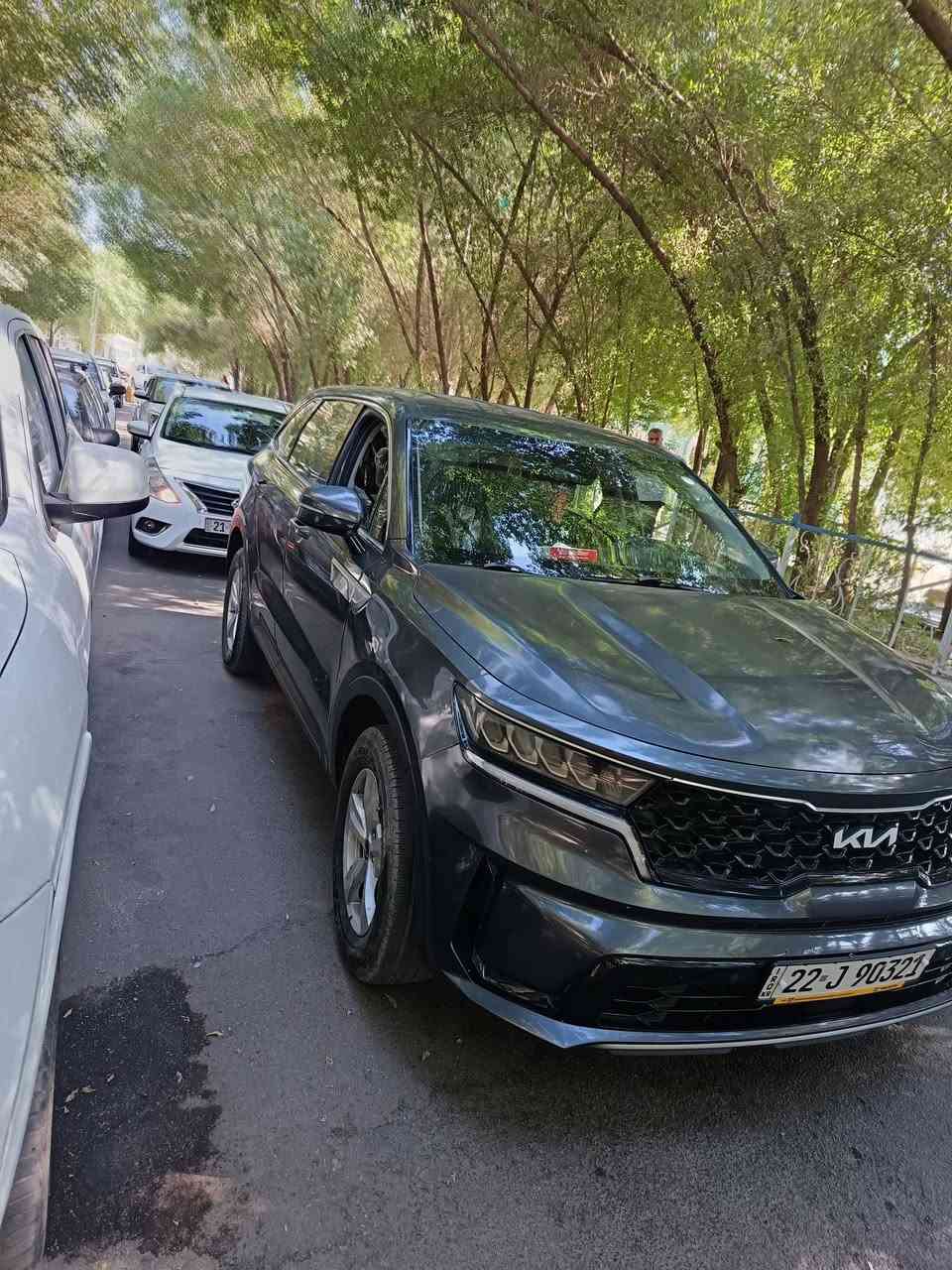 سورنتوموديل 2022نص فول ٤ سلندر اقتصادي
سعر 200
ترهم مراوس بسيارى ناصيى حسب القناعه
***********
