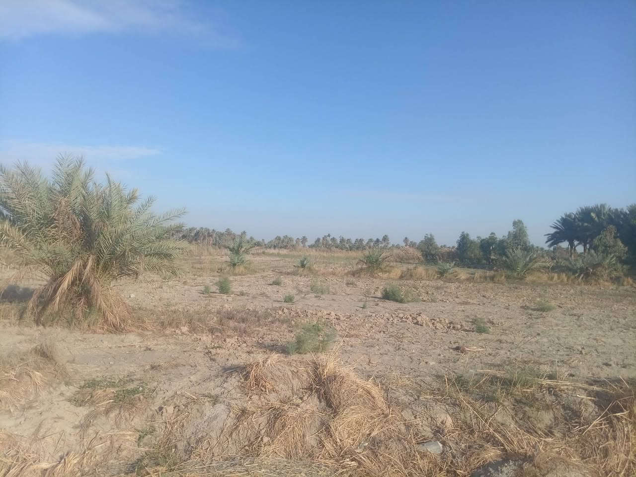 السلام عليكم بسم الله الرحمن الرحيم توجد لدينا أرض للبيع المساحة 7دوانم الجنس أصلاح زراعي أرض جدا جميله ومنطقة سكنيه وزاعيه واجهيه كلها 80 متر على الشط مباشر شارع ١٠متر سبيس قيد الانشاء متوفره مأء اساله وكهرباء الموقع بابل الحمزه الغربي خيكان قرب الدولي الجديد
الشراي يتصل وبخدمتكم وبسعر مناسب جدا للاستفسار الاتصال على الرقم التالي ***********
***********
