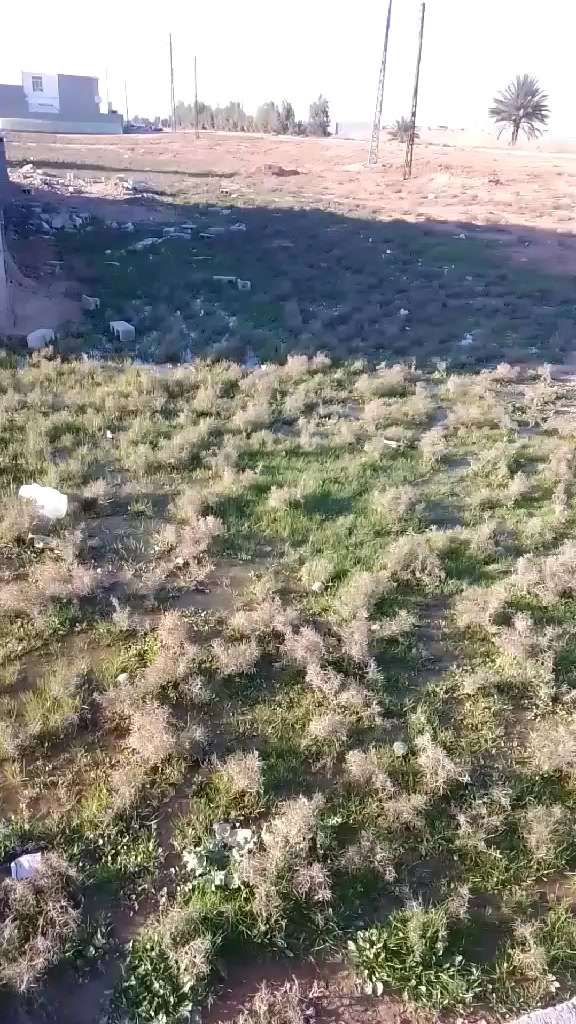 قطعه ارض ١٠٠ متر للبيع 
العنوان/ بعقوبه مكتب بيروت قرب محطه ابو حيدر 

منطقه سكنيه 

السعر خاص 

رقم صاحب القطعه 
‭٠٧٧٣ ١٠٠ ٦٥٩٤‬
