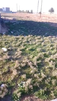 بعقوبه • ١٠٠م • مكتب بيروت