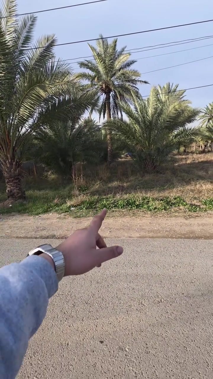 دونم للبيع منطقه الدوره عرب جبور قورب لوفت الاحمدين تحويل سند على طابو المحموديه كامل خدمات تبليط ماء كهرباء دونم تشجير نخل شارع فلل الاستفسار اكثر الاتصال 
العقاري عمر الخالدي
٠٧٧٣٣٤٧٧٩٠
@hopy__s 
***********
#بغداد #اكسبلور_فولو #عقارات #المنصور #البوعيثة
