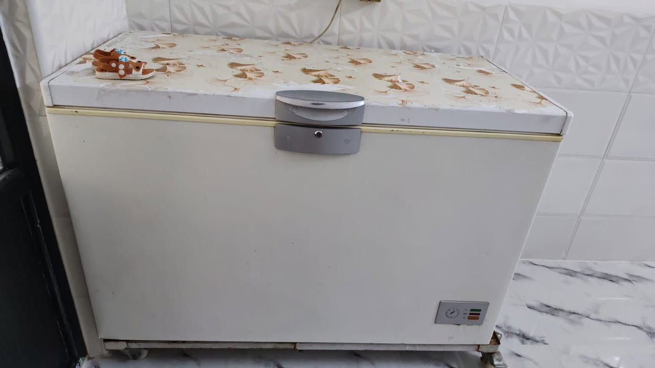 غراض للبيع كلمن وسعرو مجمده نضيفه مع قاعده 200 اوفن 25 بازكل احمر 35


**إذا كنت صاحب هذا الإعلان وتريد حذفه لأي سبب، رجاءا أرسل رسالة إلى الدعم الفني**