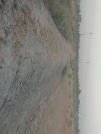١١ دونم • طابو زراعي • قرب مجمع الحرمين