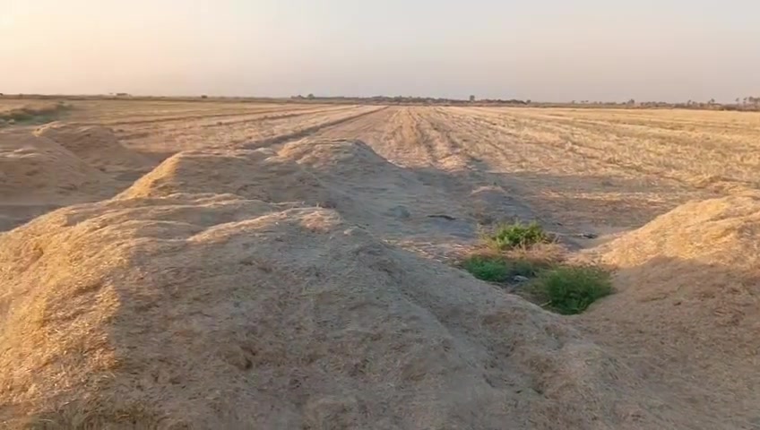 السلام عليكم تبل للبيع العدد 10 عربايه مكان ديالى كنعان اتصال على الرقم***********
