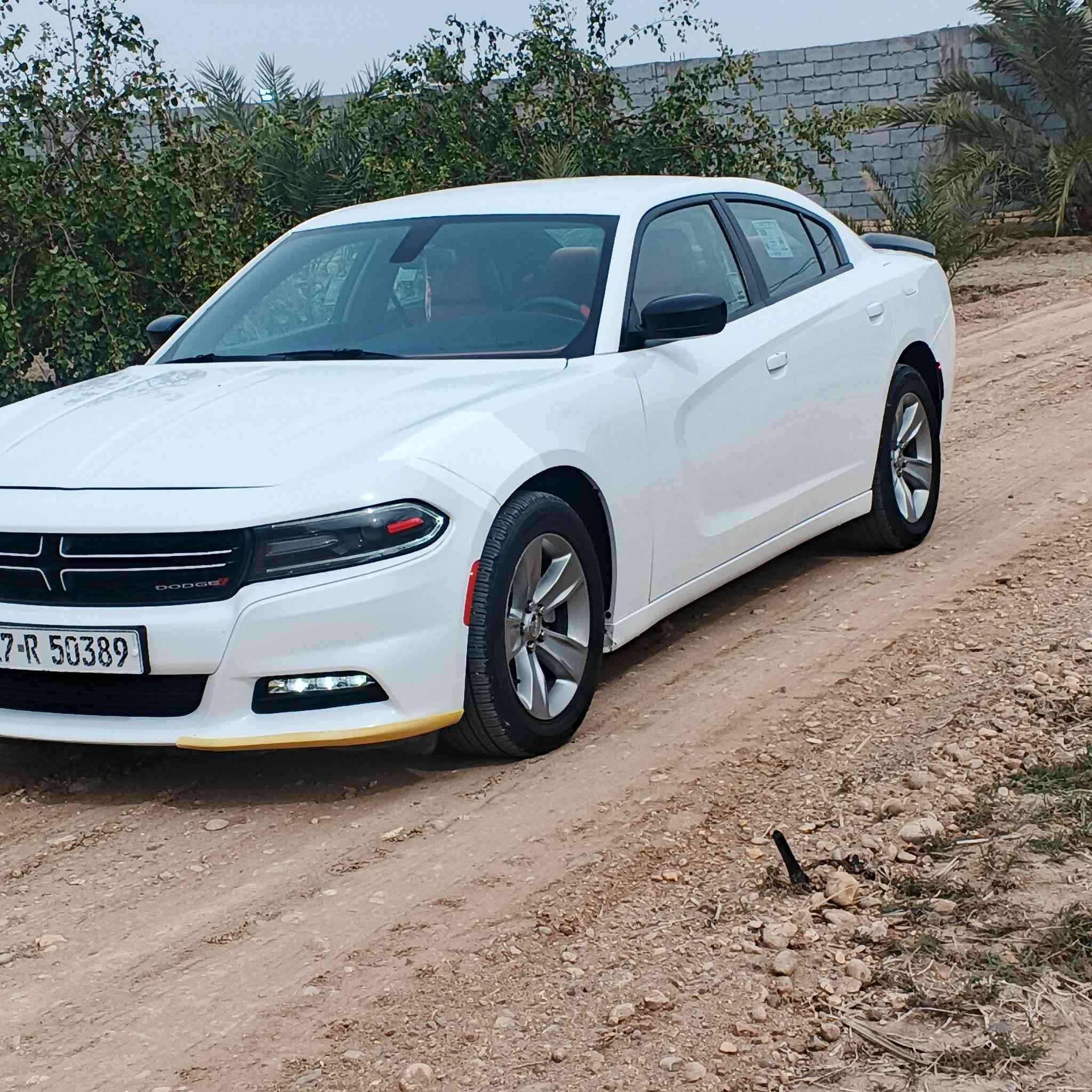 دوج جارجر موديل 2020 وارد مريكي تبديل بس جاملق ايمن ولباقي كفاله عامه ماشيه 48 ميل رقم ذي قار تحويل مباشر *********** ناصريه قضاء الصلاح
