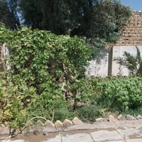 أبو حجار • طابو حر • ٣١٧م