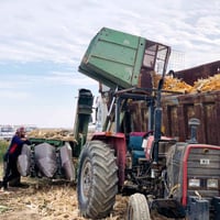 الحويجة • حاصدة ذرة • بسيارة قديمة