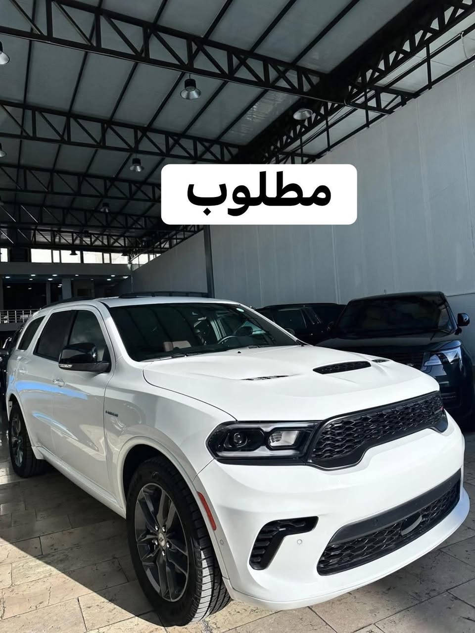 بجم دورنكو 2019 بنيد اصلي مكفول بدون صبغ ولايتات اصلية الدعامية تجاري للمراوس بشكل ل24 تجاري  ابيض مكاني ناصريه مركز
***********
