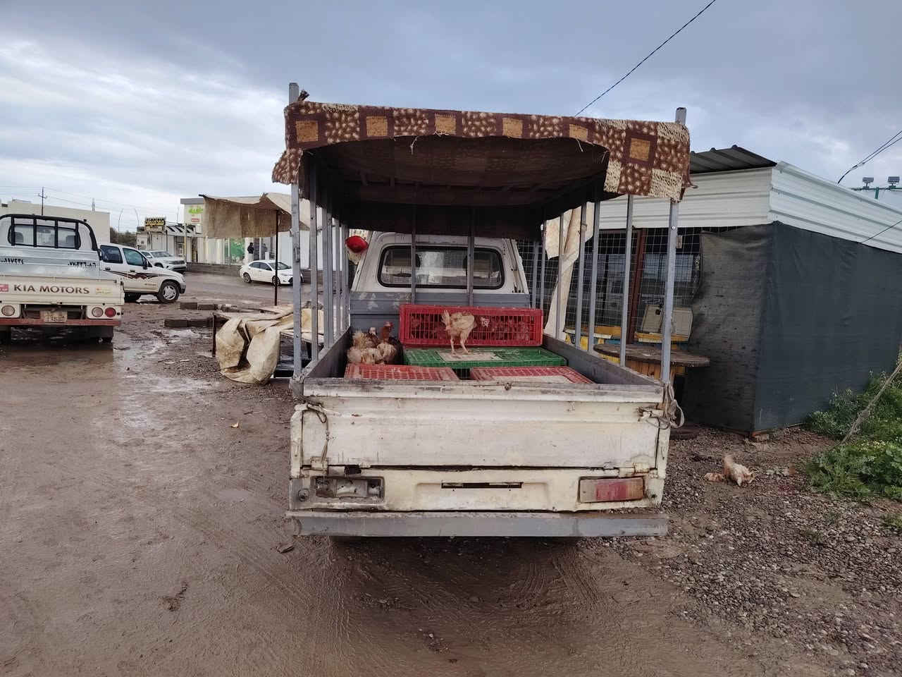 السلام علیکم فاو 2007 کیر محرك جديد  صدر کهربائیات بدون عیب اوراق کاملة بدون صبغ شاصي بلادي سيارة كلها بلاد مكاني جنوب الموصل الكياره   الشراي يتصل ***********. سعر 16 وبيه مجال
