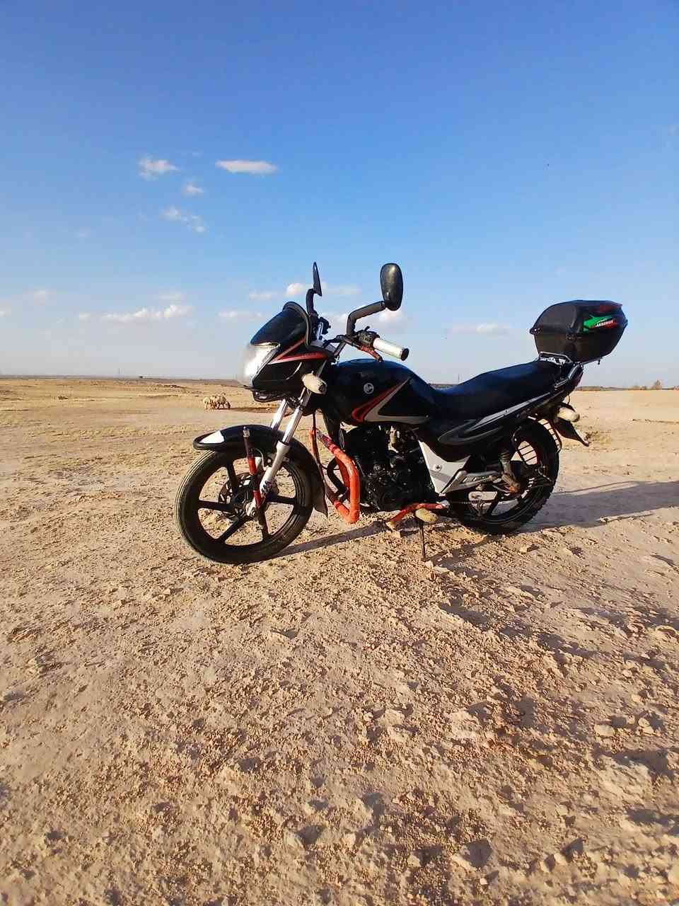للبيع 24   ***********

