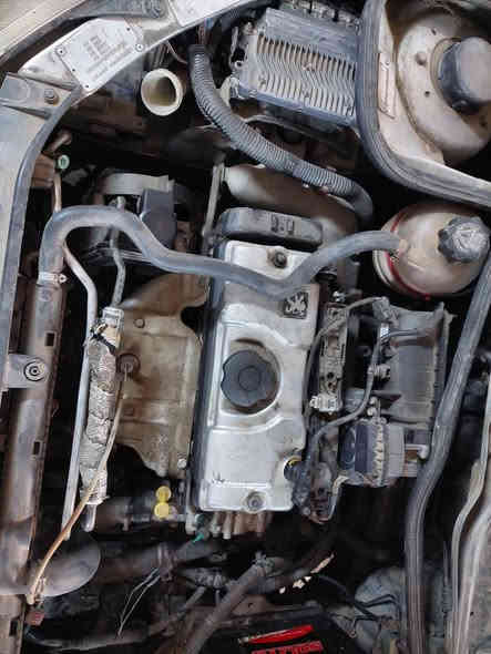 سلام عليكم تم تفصيخ بيجو فرنسي يحتاج غراض بي خير ويدلل مكاني مشروع مسيب اتصل *********** ***********
