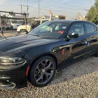 جالنجر • ٢٠١٩ • رقم بابل