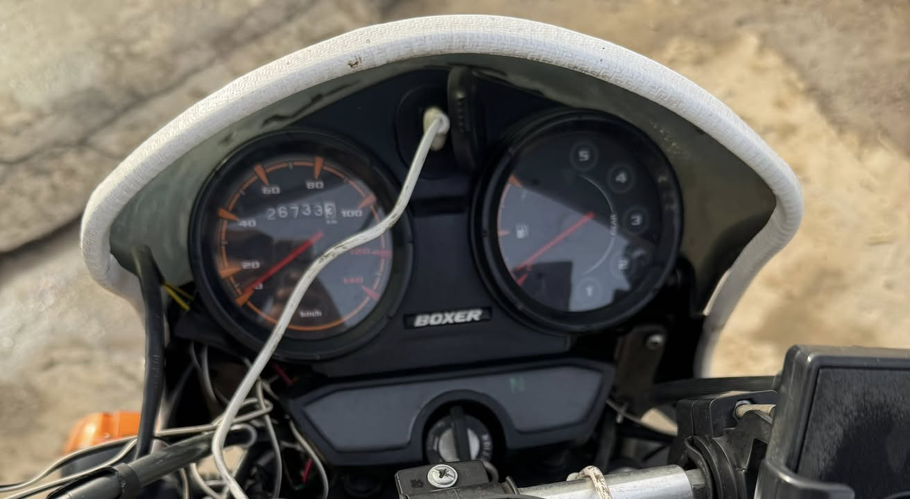 بوكسر للبيع 2023 رقم بغداد انگليزي العنوان بغداد التاجي*********** واتساب
