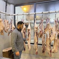 قصابة غزوان • لحم طلي • مقابل سيد الاسعار