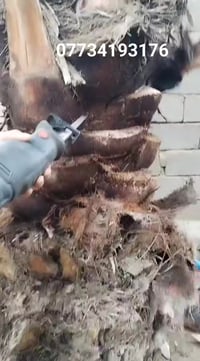 🙋🙋  منشار ترددي  ماركه اوزتوا استرالي اصلي  يعمل بقدره 920 واط  وزن ال...