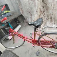 باسكل • كربلاء • بدون جاملغات