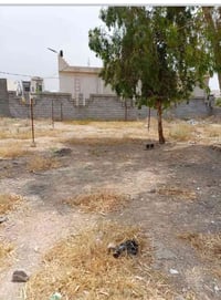 كامل خدمات مي كهرباء مدرسه مستوصف تبليط مجاري والشارع الرئيسي 14 متر م...