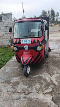 بياجو • أوراق • ديالى بلدروز