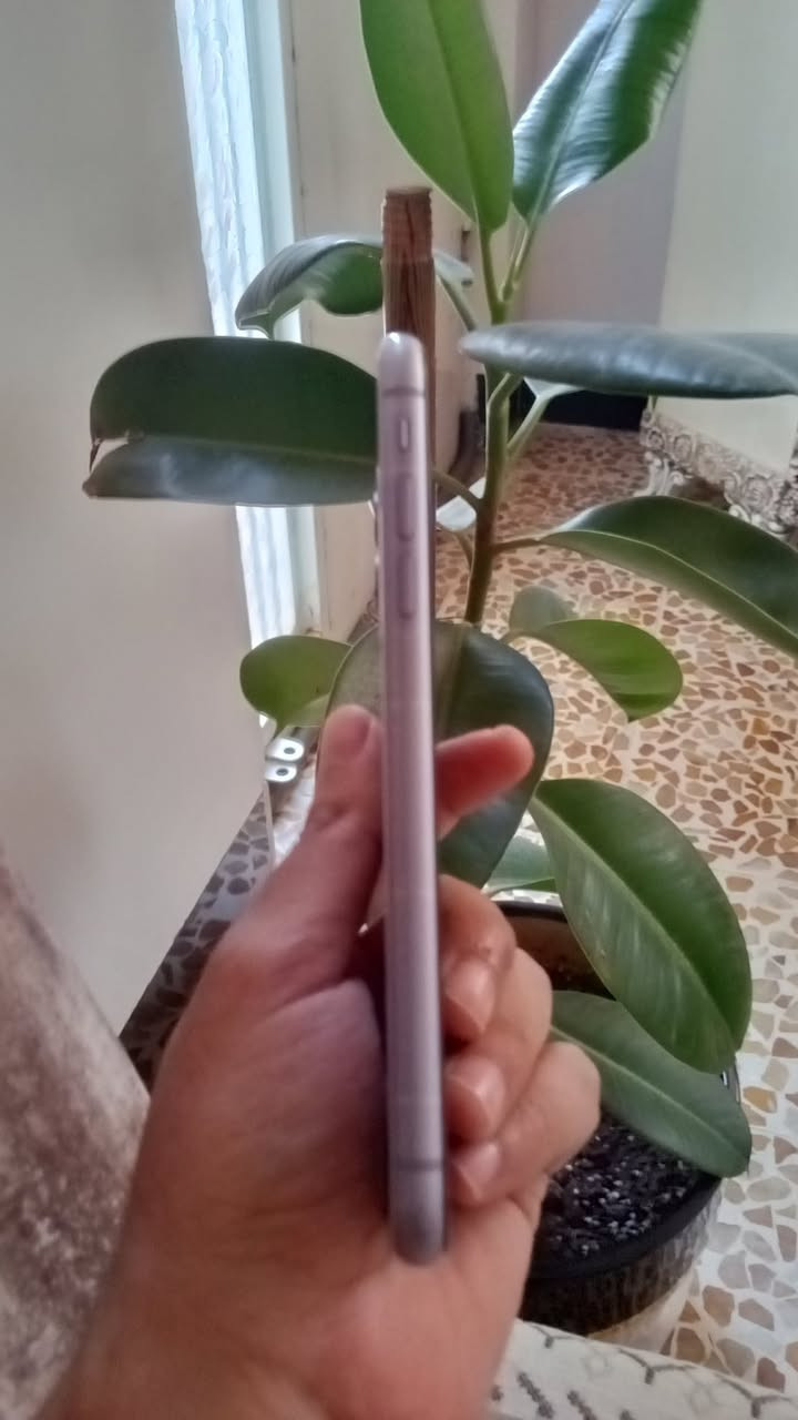 السلام عليكم ايفون 11  كامل مبدل شاشه وبطاريه بطاريه اصليه شرط وقطاره بل شحن ذاكره 64 موبايل نضيف مال بيت محدث اخر اصدار للبيع او مراوس ويا اكس ماكس او 12


**إذا كنت صاحب هذا الإعلان وتريد حذفه لأي سبب، رجاءا أرسل رسالة إلى الدعم الفني**