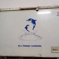 الاسكندريه • مجمدة ١٤ • غسالة ١٢كج