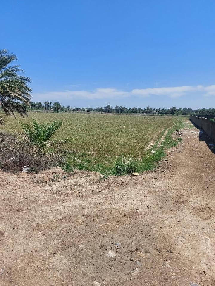 🌱فرصه مميزة للبيع بموقع جميل 🌱

دوانم للبيع تباع جميعها او تقطيع حسب الرغبة 

الارض مخدومة بالكامل ومناسبة للسكن والاستثمار 🏢

الخدمات (ماء +كهرباء)🚰⚡️💡

( سند ٢٥)

📍العنوان : اليوسفيه
جسر صبار قرب مدرسة نهرين


**إذا كنت صاحب هذا الإعلان وتريد حذفه لأي سبب، رجاءا أرسل رسالة إلى الدعم الفني**