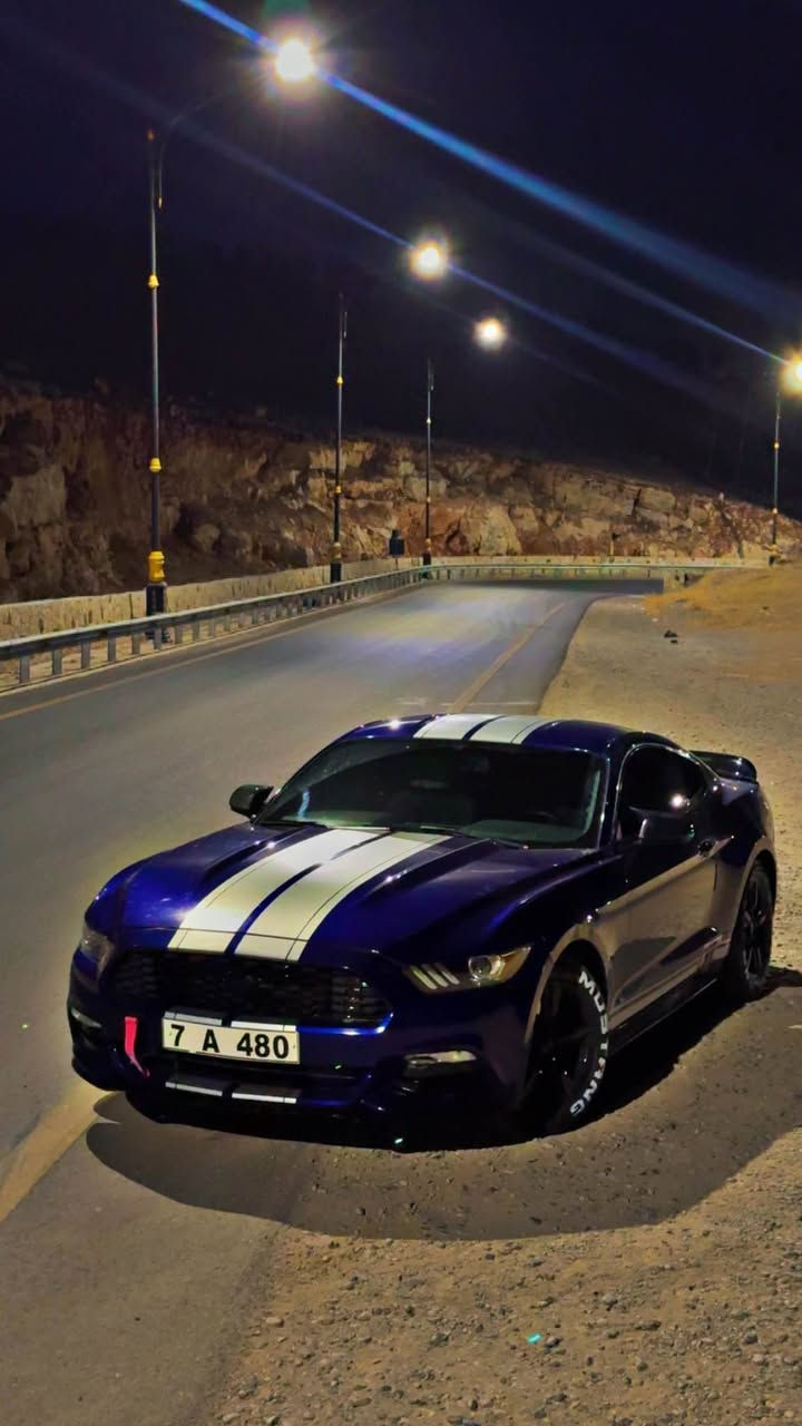 2015
بێ بۆیاخ بێ دەعمو لێدران 
6پستۆن
دەعامی بۆ دەعامی دارو بەردی بەشەرت
٩٠هەزار رۆیشتیە أربيل, العراق


**إذا كنت صاحب هذا الإعلان وتريد حذفه لأي سبب، رجاءا أرسل رسالة إلى الدعم الفني**