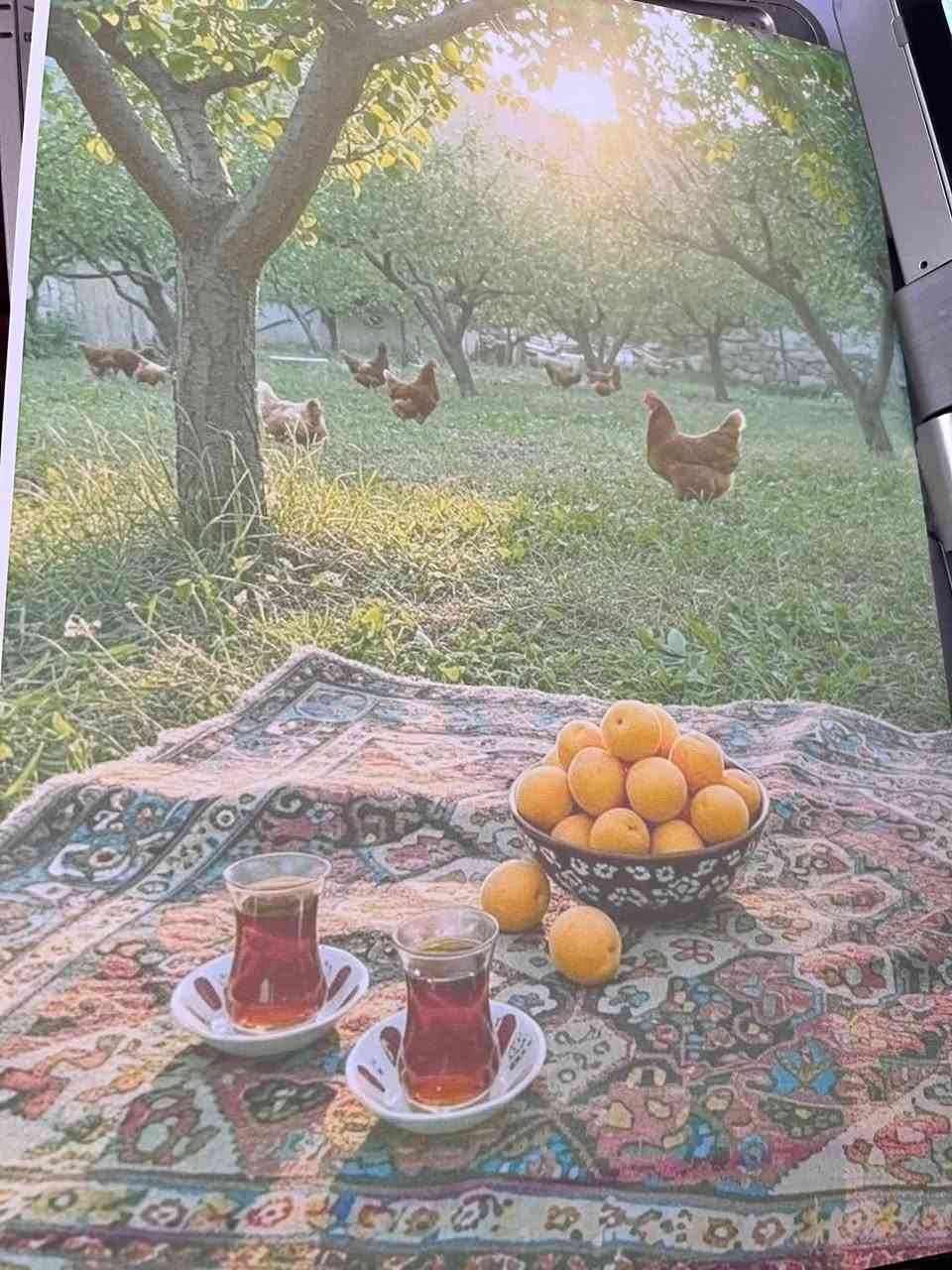طابعه كانون 3411 طباعته باهته السعر 75


**إذا كنت صاحب هذا الإعلان وتريد حذفه لأي سبب، رجاءا أرسل رسالة إلى الدعم الفني**