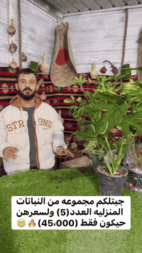 ‏زبائنً الكرام متوفر  من مشتل الفهد كل نباتات الداخليه وعروض تلفيش🔥🪴  ...