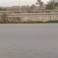 إلا ستفسار تصل على الرقم 07817784537