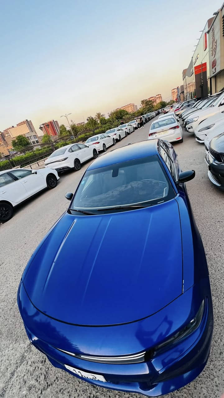 السلام عليكم 

جارجر ٢٠٢٢  أصل sxt
ماشية ٦٢ الف 

حادثهه موضح بالصور كلير الباب الخلفي وهلال الجاملغ الخلفي والأمامي شخط بسيط في التكمة
 دواخل سليمة شاصي لغود سليم

مكان السيارة  بغداد السيدية 

للأستفسار التواصل على الرقم ***********
أو التواصل على الخاص فيس 
غير متوفر على الواتساب 

السعر ٢١٥ وبيهه مجال
