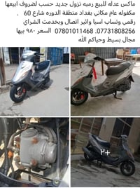 ماكس • مكفول • تفاصيل واضحه