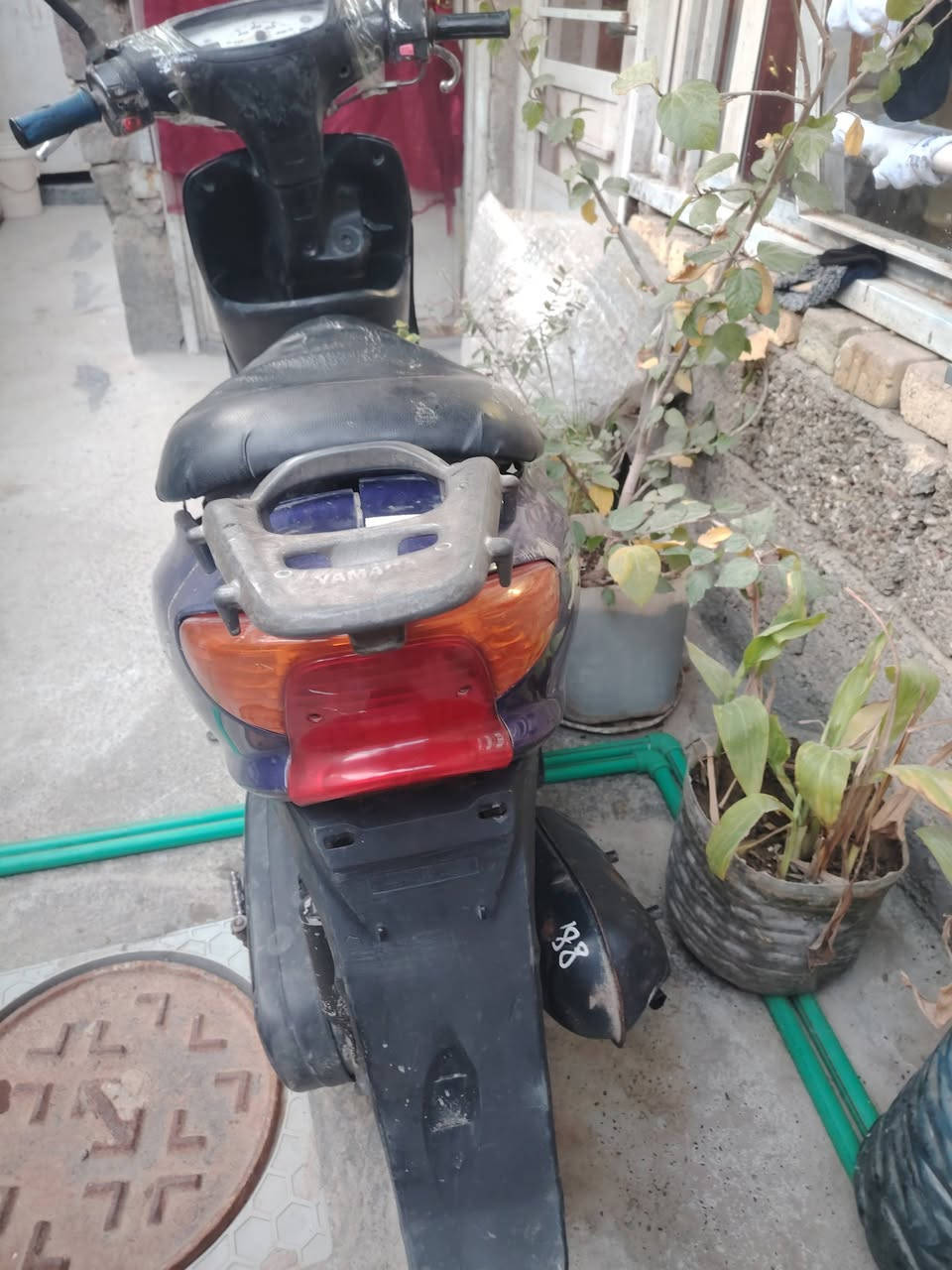 عصفورية شغاله نقصهه جوزة ابيع كوم حديد لاتدخل ودكلي شبيها ابيع كوم حديد السعر 100 قفل
بغداد الشعب ***********
