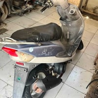 ماكس منغولي • مكفول • نضافه