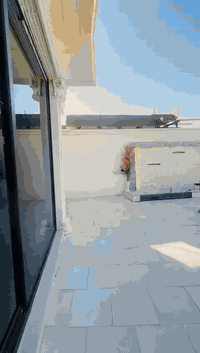 ✨ شاليه/مزرعة (ضي) – للتأجير اليومي ✨
استمتع بأجواء ريفية هادئة في مزرعة/شاليه (ضي)، المكان المثالي لقضاء أجمل الأوقات مع العائلة والأصدقاء 🌿
📍 الموقع: (بغداد/المدائن)
⏰ أوقات الإيجار: يومي / مسائي / صباحي
💡 المميزات:
 • مساحة واسعة مناسبة لجميع المناسبات
 • جلسات خارجية فاخرة
 • مسبح (كبّر/صغير—صيفي +شتائي)
 • ملعب أطفال / وكبار
 • مطبخ مجهز بالكامل
 • إضاءة ليلية ساحرة
 • شواية باربكيو + حديقة خضراء
 • مواقف سيارات خاصة
🎉 مناسب لـ:
عائلات – للمناسبات – تجمعات – حفلات ميلاد – استراحات نهاية الأسبوع

📞 للحجز والاستفسار:
( ***********)
واتسآب متاح
