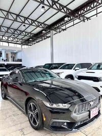 موستانج • ٢٠٢٤ • ماشي ١٥ ألف ميل