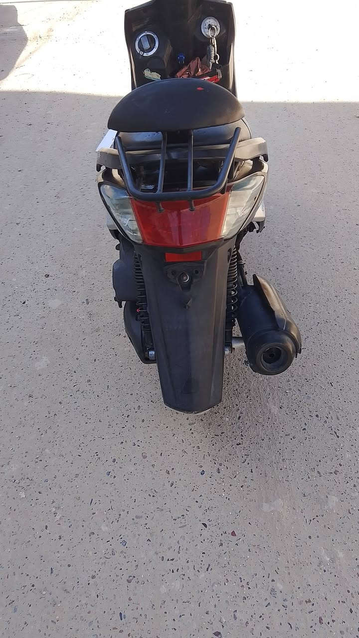 سكنس فحل ياباني البيع او مراوس واخض فرق مكفول شلعه ومعدل فول بغداد مدينة صدر900الف ***********
