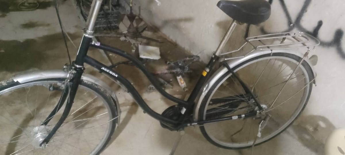 مرحبا شباب سلام عليكم
بيسكل لبيع مثل ما موضح بالصورة 
كامل جاهز تجي تفحص وتسوق 
قياس 27بناتي 
ويل حساس 
ويالة لامنيوم 
75الف


**إذا كنت صاحب هذا الإعلان وتريد حذفه لأي سبب، رجاءا أرسل رسالة إلى الدعم الفني**