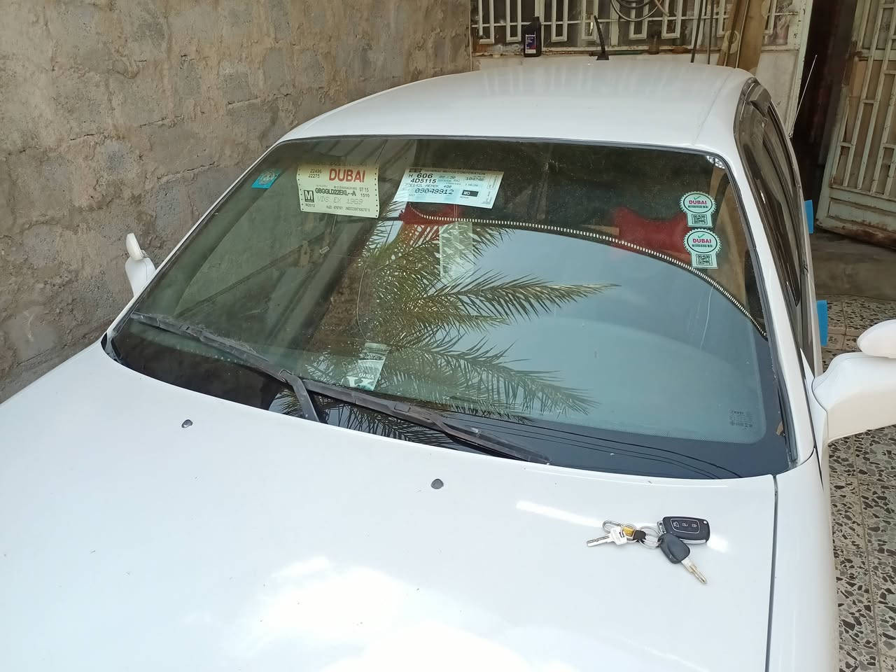 ‏ياالله بسم الله الرحمن الرحيم سلام عليكم
‏دايو برنس للبيع موديل 95 بغداد رقم انكليزي 
‏مصبوغه حزام عدا القماره مكفوله من ضربه وكص صدر خلفي وامامي مكفول ويل كب مجلي لونين تخم تاير ارضيه جلد بطاين كصه محرك وكير مكفول كهربايات فول تبريد فول منضومه زنون سنتر لك ريمون صندوك جكات السياره بختصار عليها ادامه من دعاميه للدعاميه بيها لغود شركه السياره متعوب عليها الله شاهد سنويه 28 تحويل شرط اسوي عقد مروري السياره احلا من الصور مكان السياره الفلوجه حي الرساله (ملاحضه) الي مايعجبه السعر لا يكسر حلال الناس السياره جديده وحلوه السعر 43 وبيها مجال حك جيتك وغداك رقم ***********
‏
